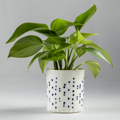 Handmade porcelain tumbler with blue slip-trailed dotted pattern used as a small planter for a green houseplant